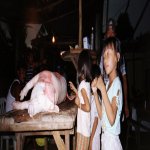 Les enfants veulent voir comment on tue le cochon