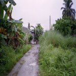 Le chemin pour aller chez nous