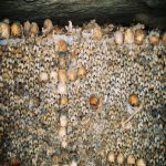 Les catacombes (Paris)