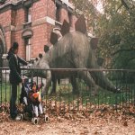 Le jardin des plantes à Paris