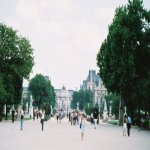 Le jardin des Tuileries