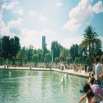 Le jardin du Luxembourg (le Sénat)