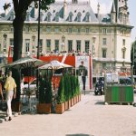 Autour de Notre Dame de Paris