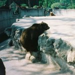 Jardin d'acclimatation de Paris